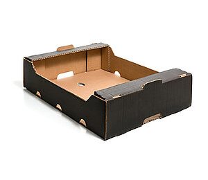 Packing Cartons 12 x 125g Punnets – كرتون تعبئة